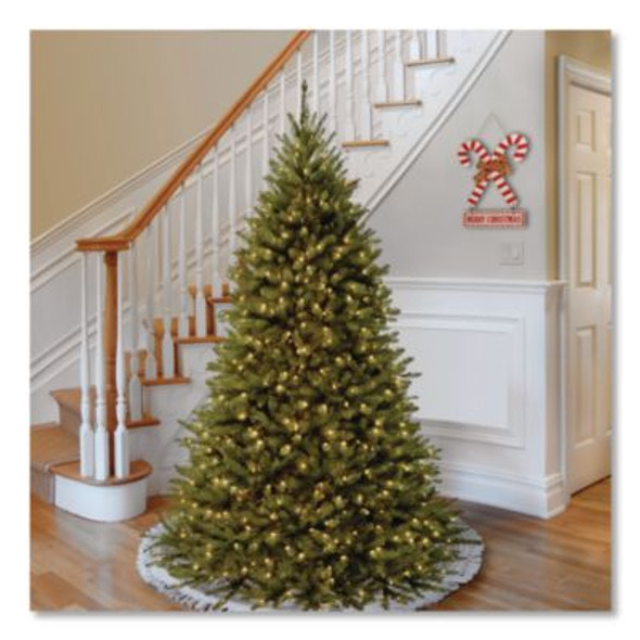 Pre-Lit Kingswood Fir Tree, 55" x 55" x 90", Green Tree, Green Tree Stand