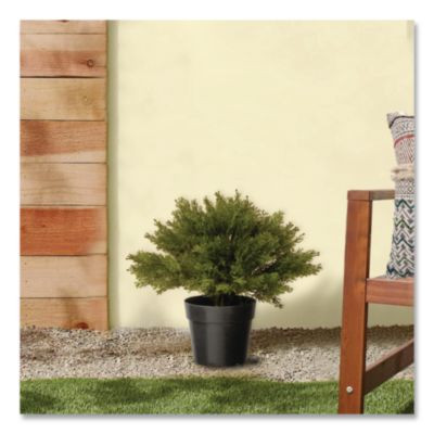 Artificial Globe Juniper, 15" x 15" x 15", Green Plant, Green Pot
