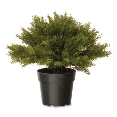 Artificial Globe Juniper, 15" x 15" x 15", Green Plant, Green Pot