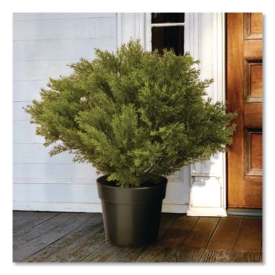 Globe Juniper Topiary Tree, 20" x 28" x 20", Green Tree, Green Pot