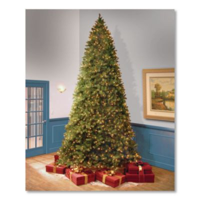 Pre-Lit Downswept Douglas Fir Tree, 92" x 92" x 144", Green Tree, Green Tree Stand