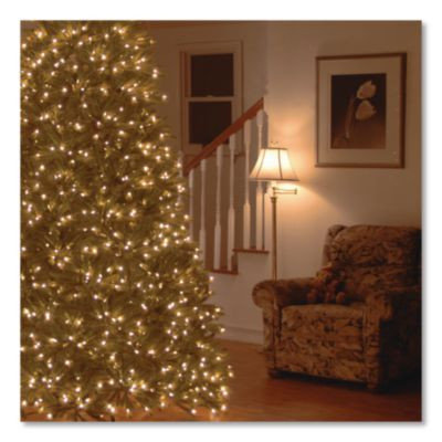 Pre-Lit Jersey Fraser Fir Medium Tree, 56" x 56" x 90", Green Tree, Green Tree Stand