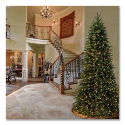 Pre-Lit Jersey Fraser Fir Slim Tree, 57" x 57" x 108", Green Tree, Green Tree Stand