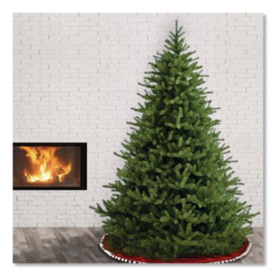 Norway Fir Tree, 62" x 62" x 90", Green Tree, Green Tree Stand