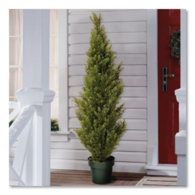 Cedar Topiary Tree, 13" x 13" x 53", Green Tree, Dark Green Pot