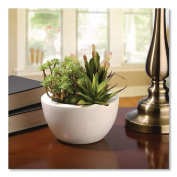 Spring Potted Plant, 8" x 8" x 8", Green Plant, White Pot