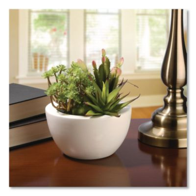 Spring Potted Plant, 8" x 8" x 8", Green Plant, White Pot