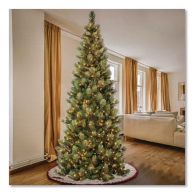 Pre-Lit Charleston Pine Slim Tree, 50" x 50" x 108", Green Tree, Green Tree Stand