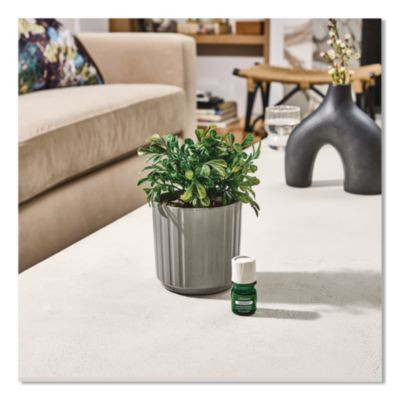 Evaporative Aromatherapy Essential Oil Boxwood Plant Diffuser With Fir Needle/Pine Essential Oil, 6.2 x 6.2 x 9.5, Gray/Green