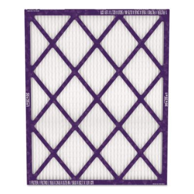 Elite Allergen Air Filter, Merv 13, 20 x 25, 6/Carton