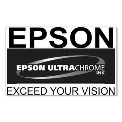 T770720 (t770) Ultrachrome Pro10 Ink, 25 Ml, Gray