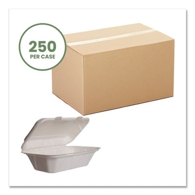 Nourish Molded Fiber Takeout Containers, Compostable, 5 x 9 x 2, White, Sugarcane, 250/Carton