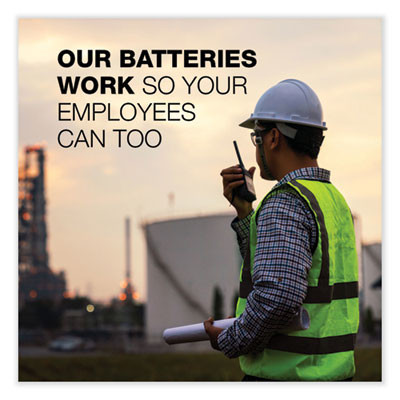 Max Aa Alkaline Batteries 1.5 V, 4/Pack