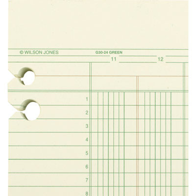 Accounting Sheets, 24 Columns, 11 X 14, Green, Loose Sheet, 100/Pack