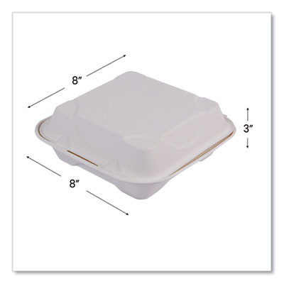 Molded Fiber Hinged Clamshell Containers, 8 x 8 x 3, White, Sugarcane, 200/Carton
