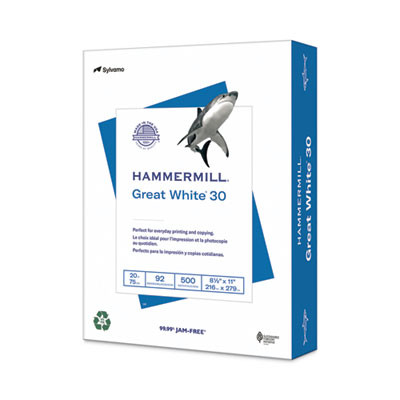 Great White 30 Recycled Print Paper, 92 Bright, 20 Lb Bond Weight, 8.5 x 11, White, 500/Ream