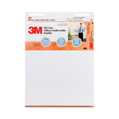 Professional Flip Chart, Unruled, (40) White 25 x 30 Sheets, 2/Carton
