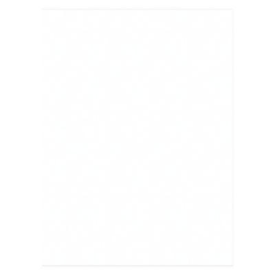 Tru-Ray Construction Paper, 76 Lb Text Weight, 9 x 12, White, 50 Sheets/Pack, 50 Packs/Carton
