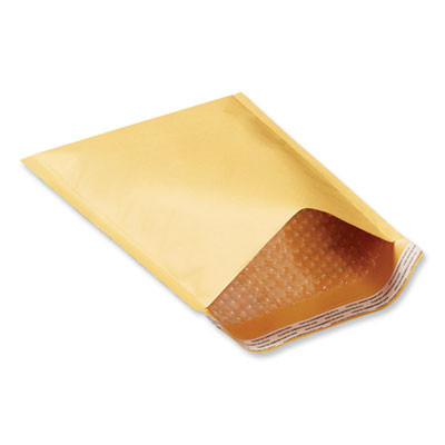Peel Seal Strip Cushioned Mailer, #3, Extension Flap, Self-Adhesive Closure, 8.5 x 14.5, 25/Carton