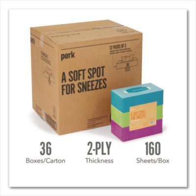 Ultra Soft Standard Facial Tissue, 2-Ply, White, 160 Sheets/Box, 3 Boxes/Pack, 12 Packs/Carton
