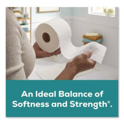 Mega Toilet Paper, Septic Safe, 2-Ply, White, 320 Sheets/Roll, 48 Rolls/Pack