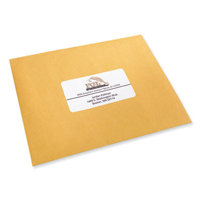 Labels, Laser Printers, 2 X 4, White, 10/Sheet, 100 Sheets/Box