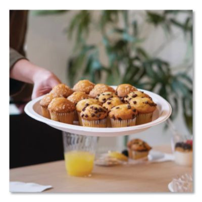 Classic Paper Dinnerware, Plate, 9.75" Dia, White, 125/Pack, 4 Packs/Carton