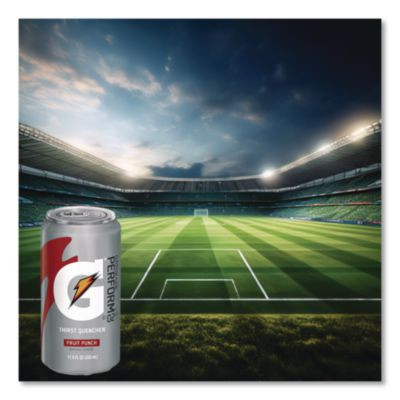 Thirst Quencher Can, Fruit Punch, 11.6Oz Can, 24/Carton
