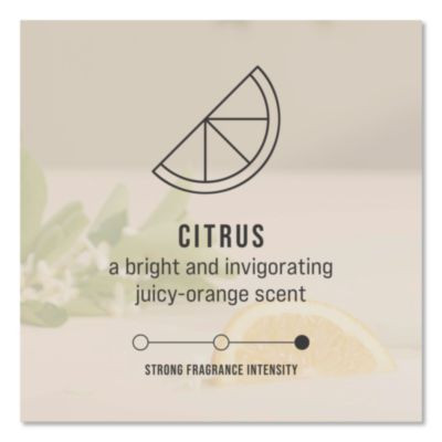 Circulair 90 Passive Air Care Refill, Citrus, 1.62 Oz, 6/Carton