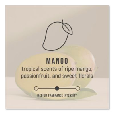 Circulair 90 Passive Air Care Refill, Mango Blossom, 48 Ml, 6/Carton