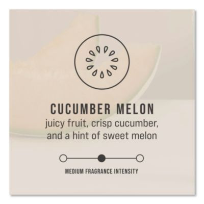 Circulair 90 Passive Air Care Refill, Cucumber Melon, 1.62 Oz, 6/Carton