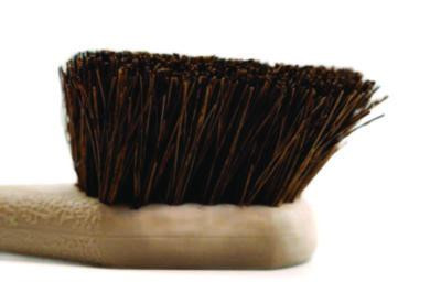 Utility Brush, Brown Palmyra Fiber Bristles, 5.5" Brush, 14.5" Tan Plastic Handle