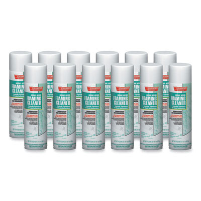 Instant Action Foaming Cleaner/Disinfectant, Unscented, 17 Oz, Aerosol Spray, 12/Carton