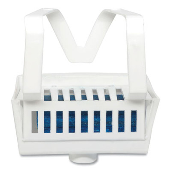 Non-Para Toilet Bowl Block, Lasts 30 Days, Evergreen Scent, White, 12/Box