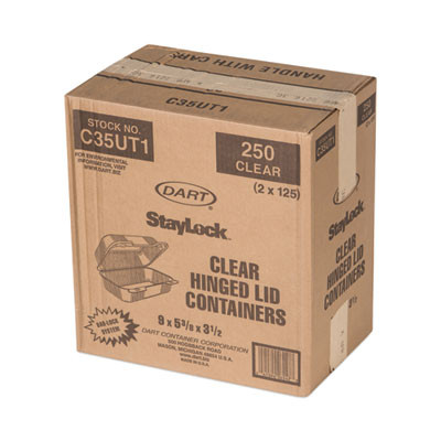 Staylock Clear Hinged Lid Containers, 5.4 x 9 x 3.5, Clear, Plastic, 250/Carton
