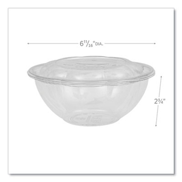 Renewable And Compostable Salad Bowls With Lids, 24 Oz, Clear, Plastic, 50/Pack, 3 Packs/Carton