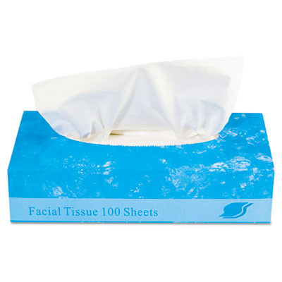 Boxed Facial Tissue, 2-Ply, White, 100 Sheets/Box, 30 Boxes/Carton