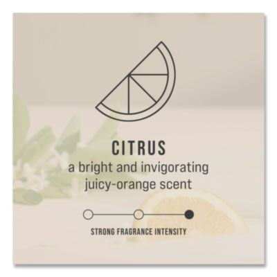 Circulair 90 Passive Air Care Refill, Citrus, 1.62 Oz