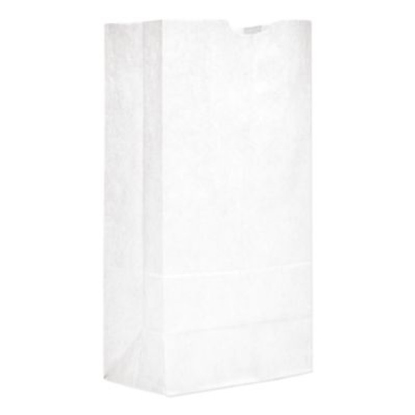 Grocery Paper Bags, 20# Size, 40# Basis Weight, 8.25" x 5.25" x 16.13", White, 500/Bundle