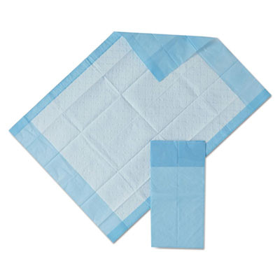 Protection Plus Disposable Underpads, 17 x 24, Blue, 25/Bag