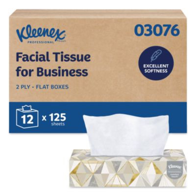 White Facial Tissue For Business, 2-Ply, 125 Sheets/Box, 12 Boxes/Carton