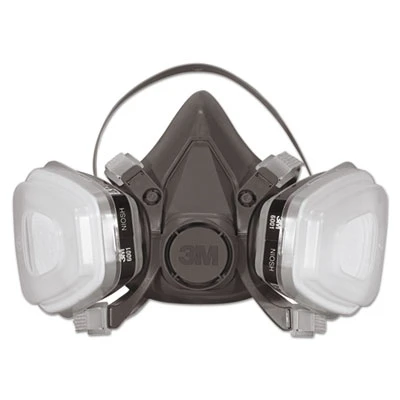 Half Facepiece Paint Spray/Pesticide Respirator, Large
