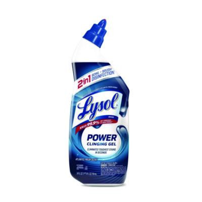Disinfectant Toilet Bowl Cleaner, Atlantic Fresh Scent, 24 Oz Bottle, Angle-Neck Bottle