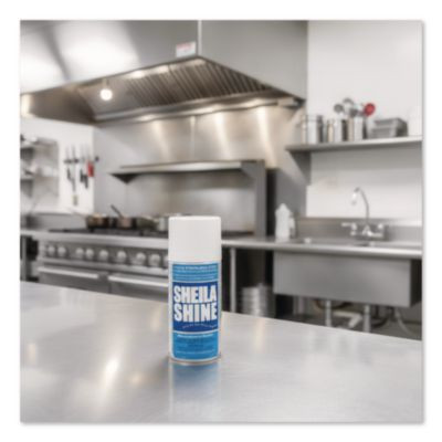 Stainless Steel Cleaner And Polish, 10 Oz Aerosol Spray