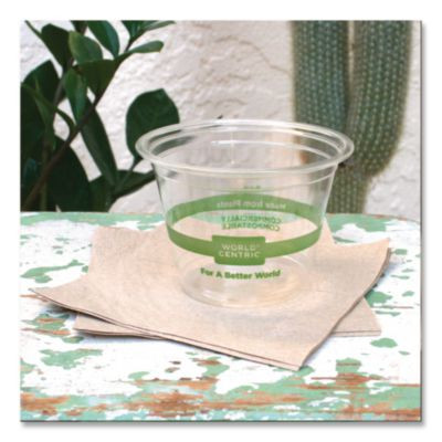 Pla Clear Cold Cups, 9 Oz, Plastic, Clear, 1,000/Carton