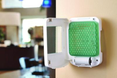 Ourfresh Airfreshener, Kiwi Grapefruit, 8/Box