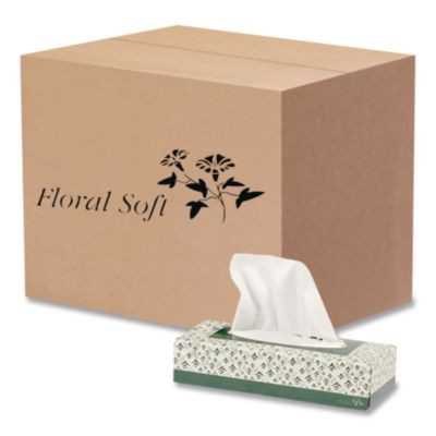 White Facial Tissue, 2-Ply, 100 Sheets/Box, 30 Boxes/Carton