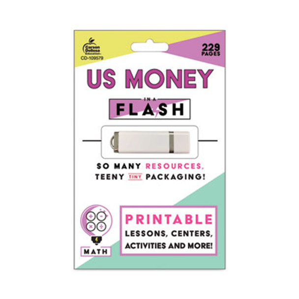 In a Flash Usb, Us Money, Ages 6-8, 229 Pages