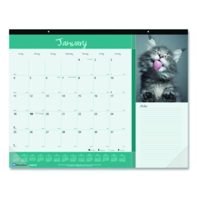 Pets Collection Monthly Desk Pad, Furry Kittens Photography, 22 x 17, White Sheets, Black Binding, 12-Month (Jan-Dec): 2026