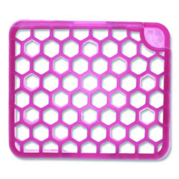 Myfresh Refill, Spiced Apple, 6/Box